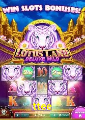 Casino Ao Vivo ttee